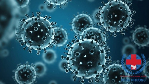 Virus herpes simplex – căn bệnh xã hội nguy hiểm