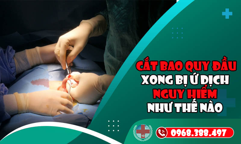 Cat Bao Quy Dau Xong Bi U Dich 3